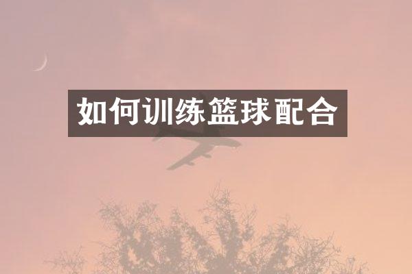 如何训练篮球配合