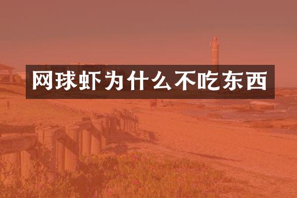 网球虾为什么不吃东西