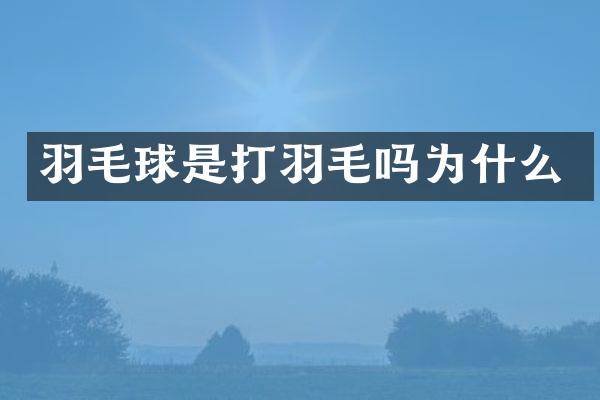 羽毛球是打羽毛吗为什么
