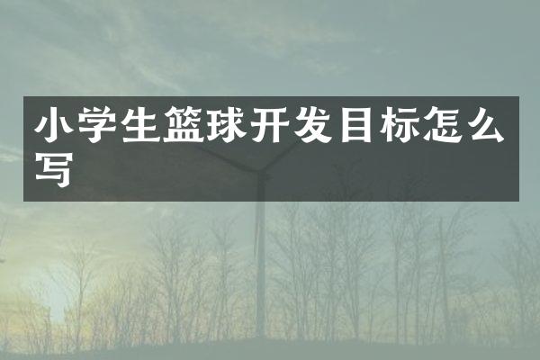 小学生篮球开发目标怎么写