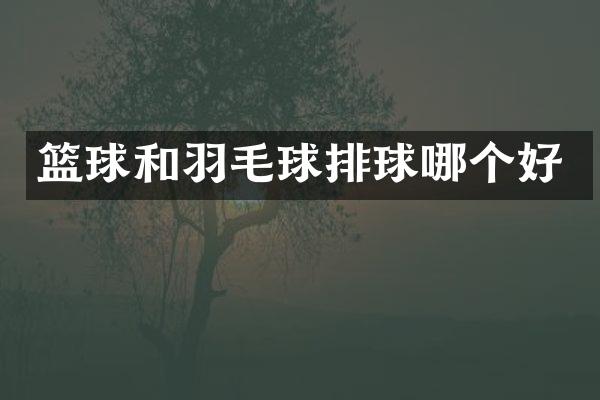 篮球和羽毛球排球哪个好