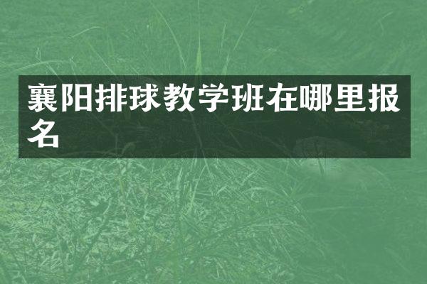 襄阳排球教学班在哪里报名