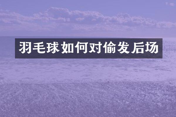 羽毛球如何对偷发后场