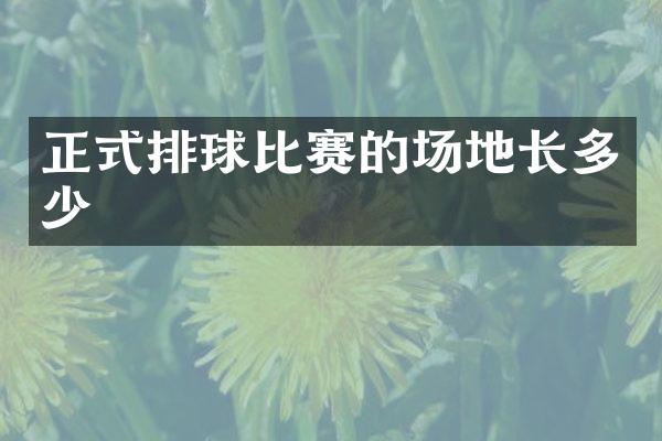 正式排球比赛的场地长多少