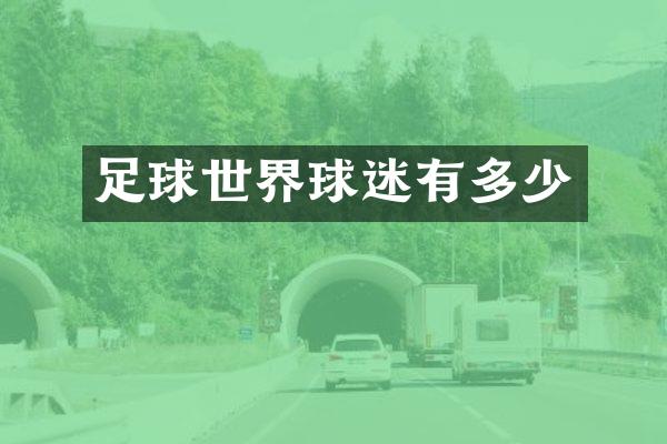 足球世界球迷有多少
