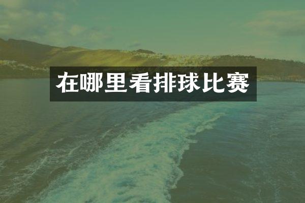 在哪里看排球比赛