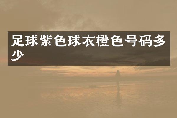 足球紫色球衣橙色号码多少