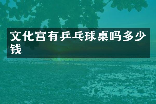 文化宫有乒乓球桌吗多少钱