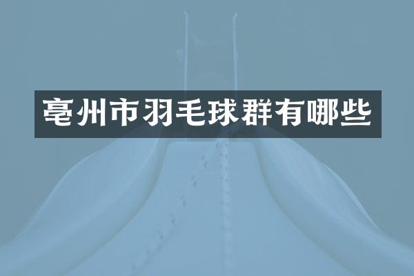 亳州市羽毛球群有哪些