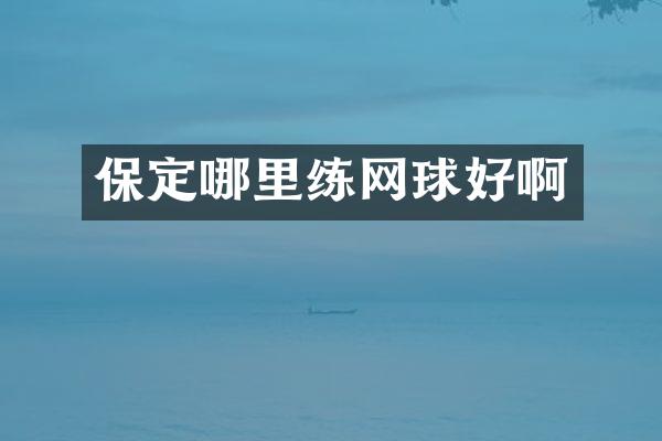 保定哪里练网球好啊