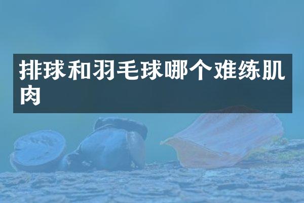 排球和羽毛球哪个难练肌肉