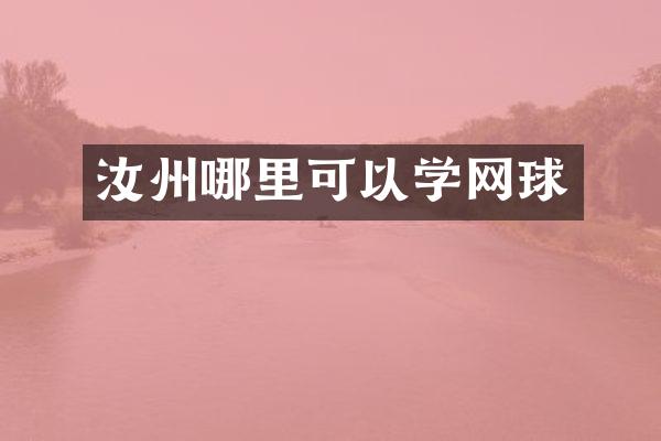 汝州哪里可以学网球