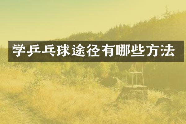 学乒乓球途径有哪些方法