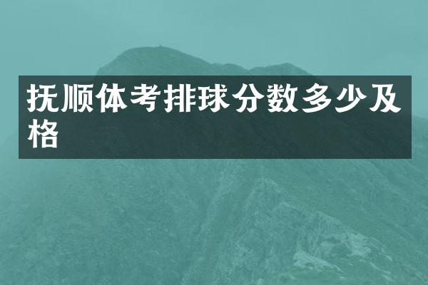 抚顺体考排球分数多少及格
