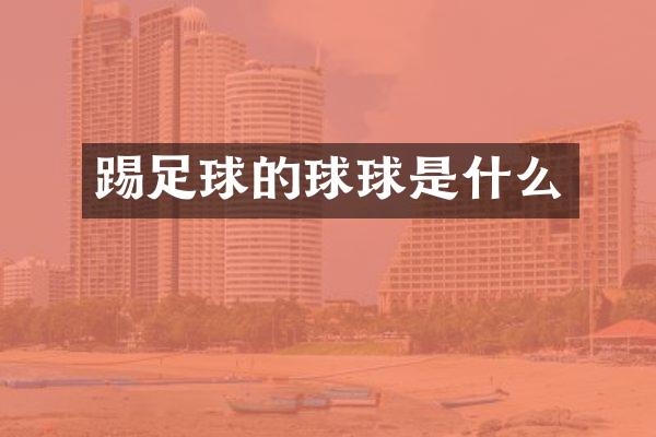 踢足球的球球是什么