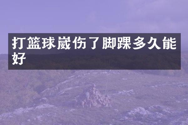 打篮球崴伤了脚踝多久能好
