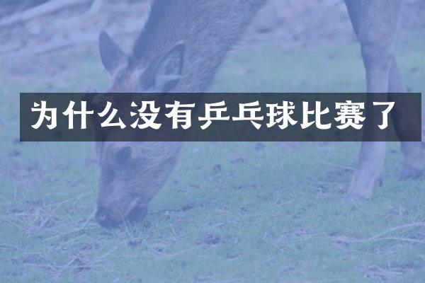 为什么没有乒乓球比赛了