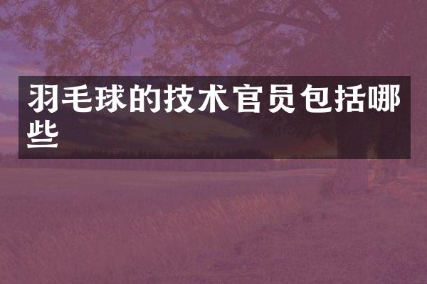 羽毛球的技术官员包括哪些