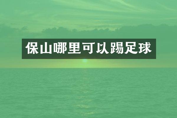 保山哪里可以踢足球