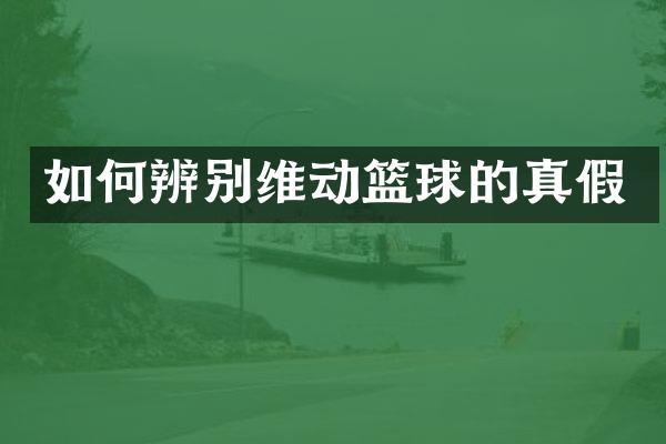 如何辨别维动篮球的真假