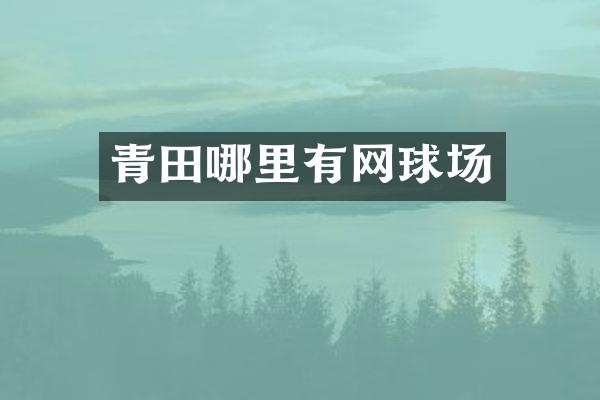 青田哪里有网球场