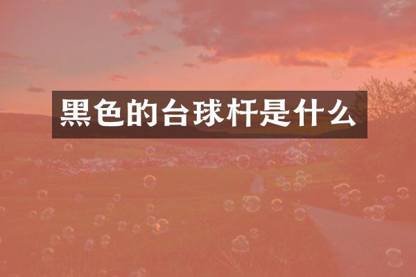 黑色的台球杆是什么