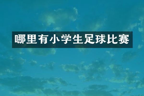 哪里有小学生足球比赛