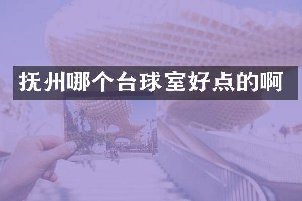 抚州哪个台球室好点的啊