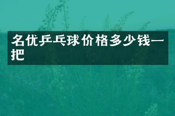 名优乒乓球价格多少钱一把