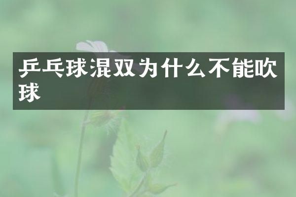 乒乓球混双为什么不能吹球