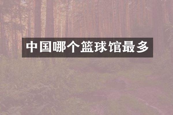 中国哪个篮球馆最多
