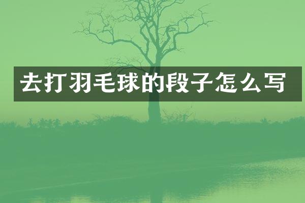 去打羽毛球的段子怎么写