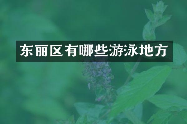 东丽区有哪些游泳地方