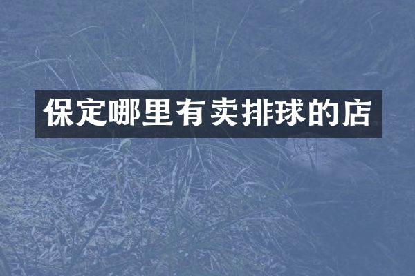 保定哪里有卖排球的店