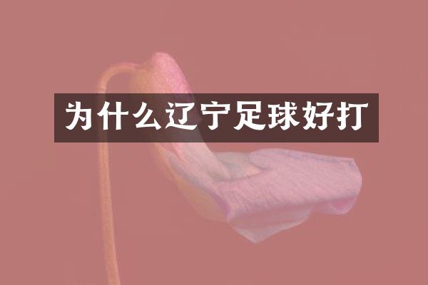 为什么辽宁足球好打