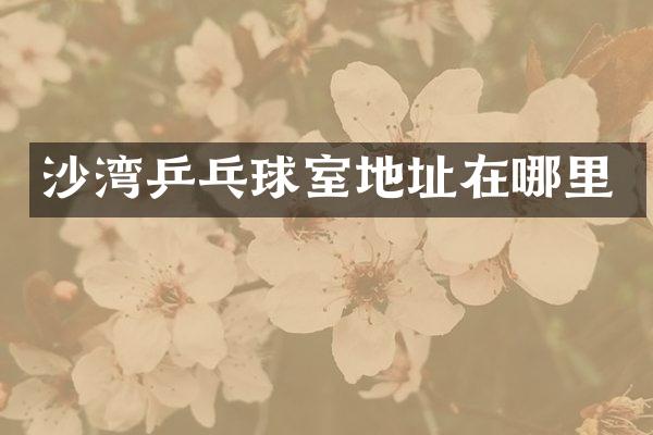 沙湾乒乓球室地址在哪里