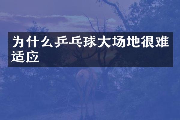 为什么乒乓球大场地很难适应
