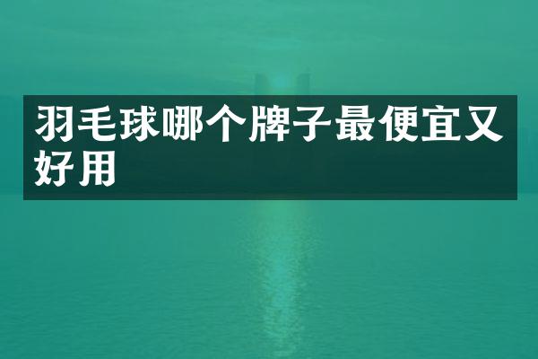 羽毛球哪个牌子又好用