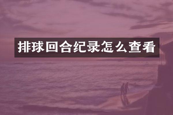 排球回合纪录怎么查看