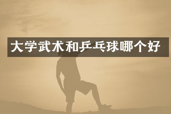 大学武术和乒乓球哪个好