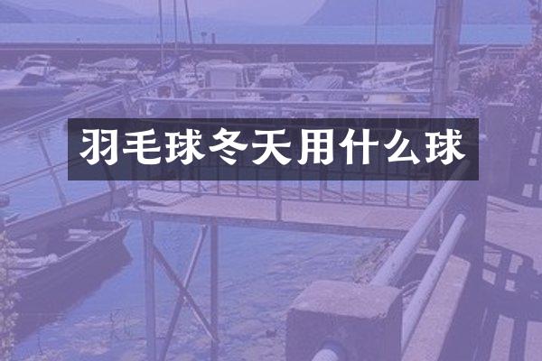 羽毛球冬天用什么球