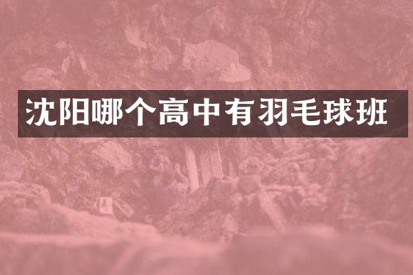 沈阳哪个高中有羽毛球班