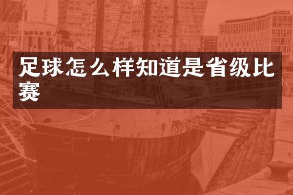 足球怎么样知道是省级比赛