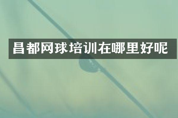昌都网球培训在哪里好呢