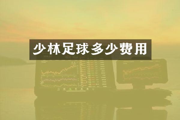 少林足球多少费用