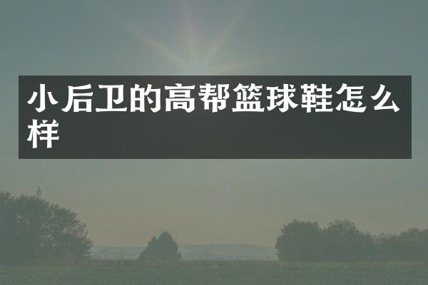 小后卫的高帮篮球鞋怎么样