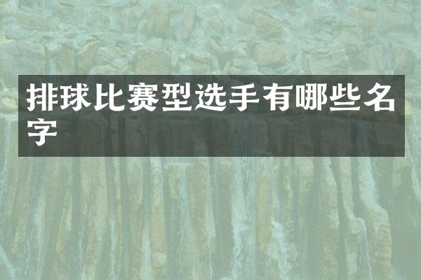 排球比赛型选手有哪些名字