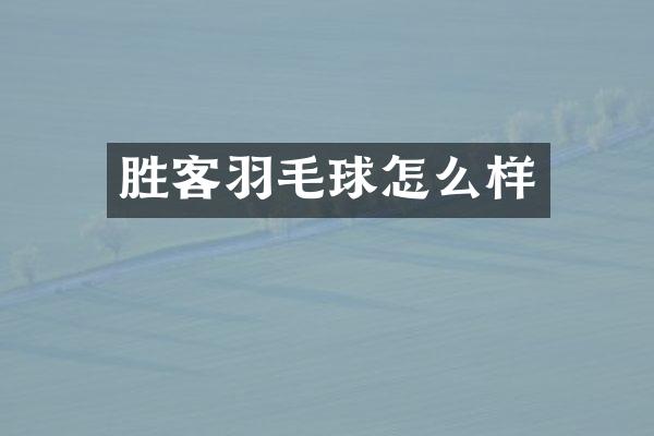 胜客羽毛球怎么样