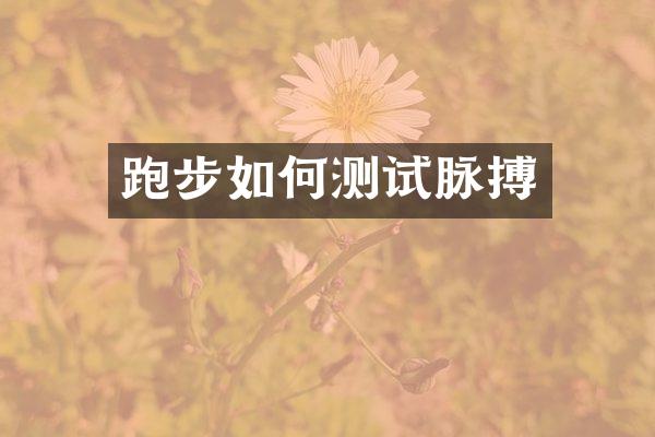 跑步如何测试脉搏