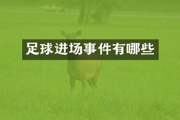 足球进场事件有哪些